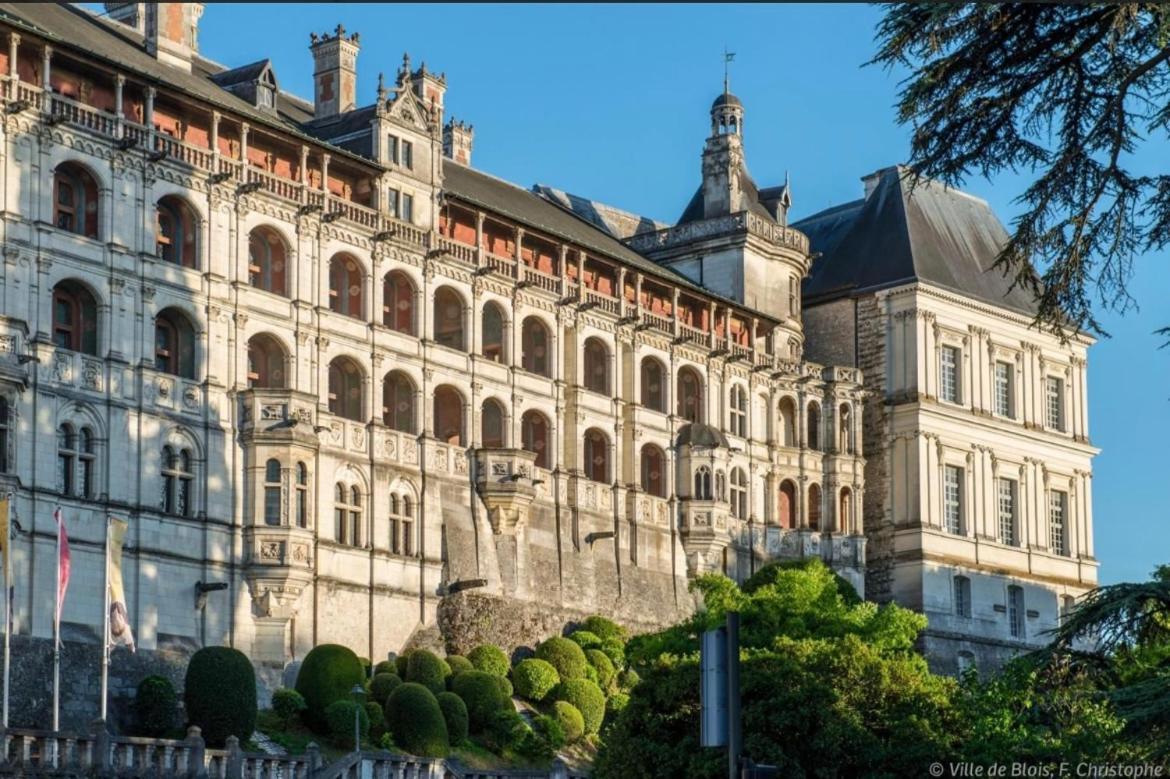 Appartement Haut Standing Proche Du Centre Ville, Vue Sur La Cathedrale Saint Louis Blois Exterior photo